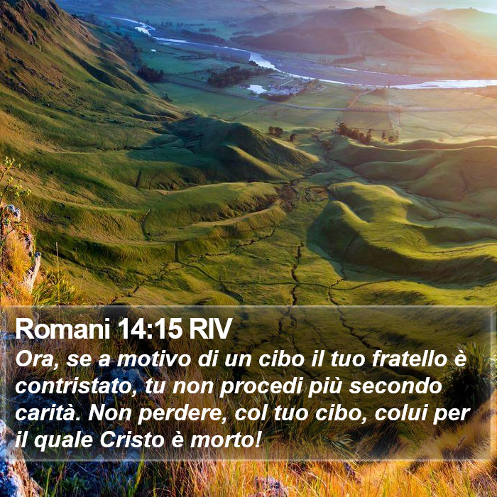 Romani 14:15 RIV Bible Study