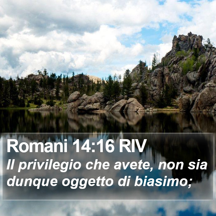 Romani 14:16 RIV Bible Study