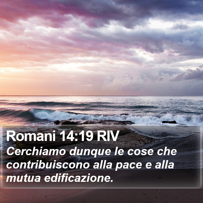 Romani 14:19 RIV Bible Study