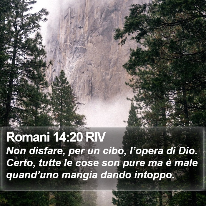 Romani 14:20 RIV Bible Study