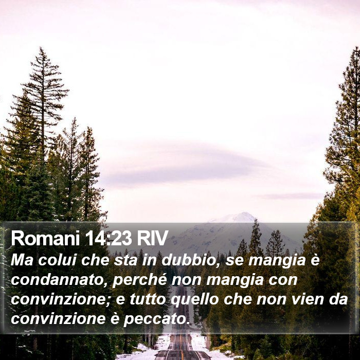 Romani 14:23 RIV Bible Study