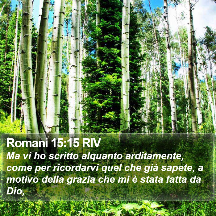 Romani 15:15 RIV Bible Study