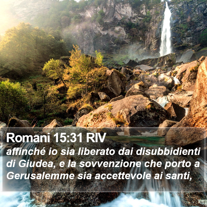 Romani 15:31 RIV Bible Study