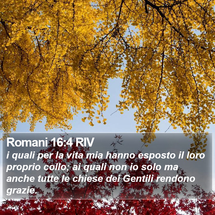Romani 16:4 RIV Bible Study