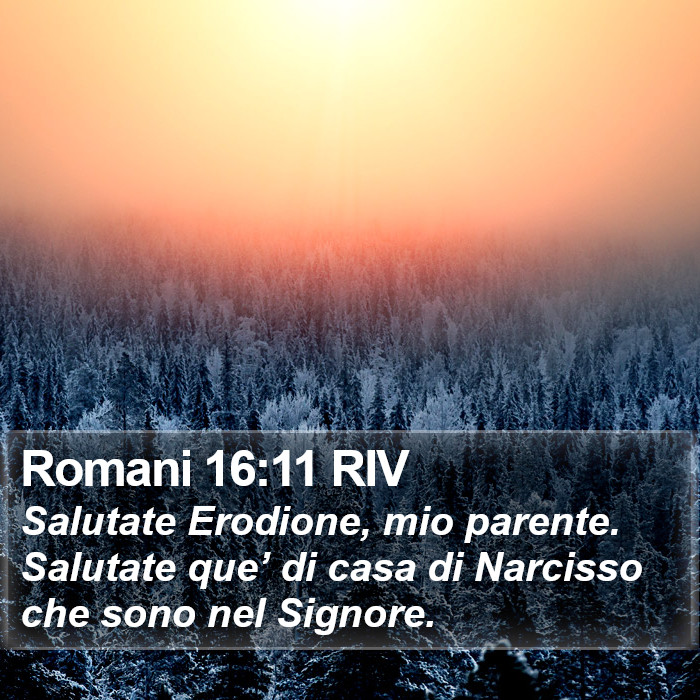Romani 16:11 RIV Bible Study