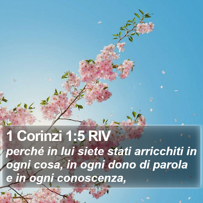 1 Corinzi 1:5 RIV Bible Study