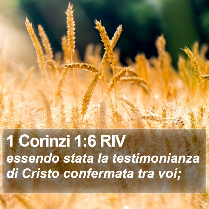 1 Corinzi 1:6 RIV Bible Study