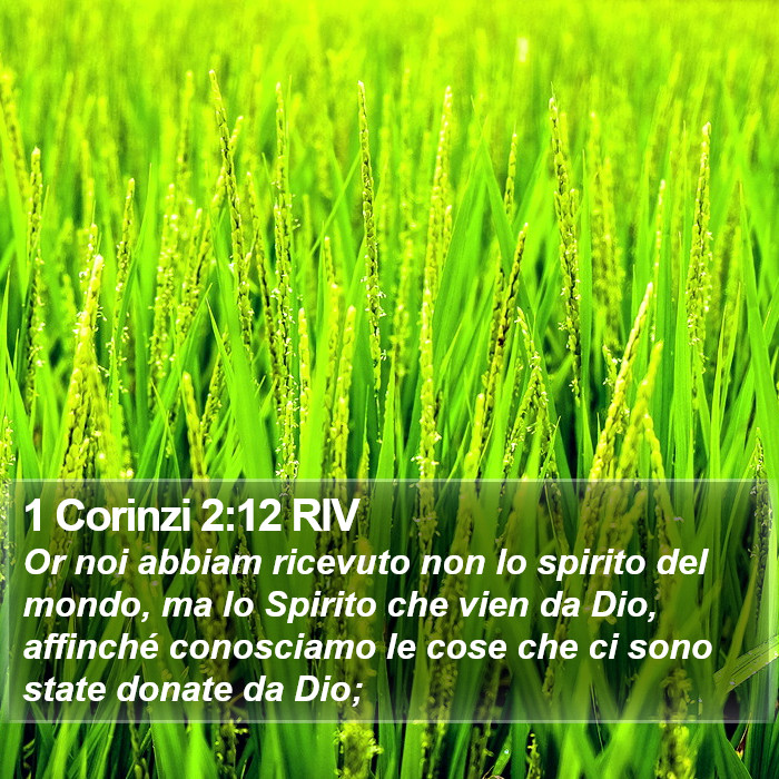 1 Corinzi 2:12 RIV Bible Study