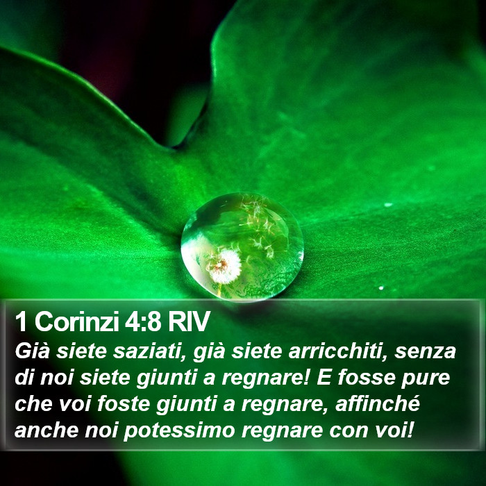 1 Corinzi 4:8 RIV Bible Study