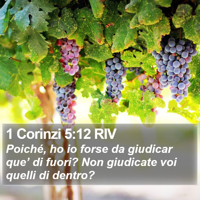 1 Corinzi 5:12 RIV Bible Study