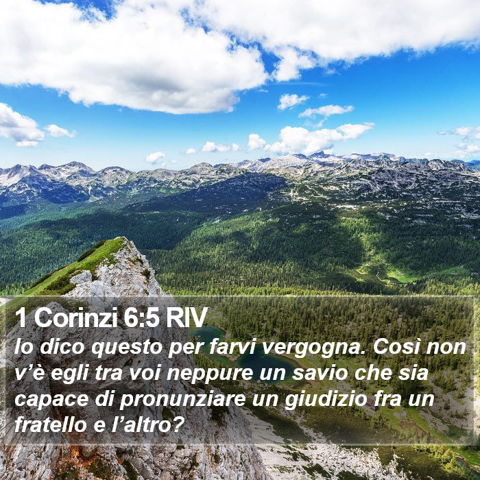 1 Corinzi 6:5 RIV Bible Study