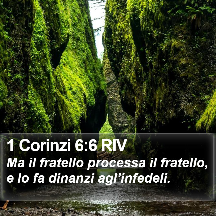 1 Corinzi 6:6 RIV Bible Study