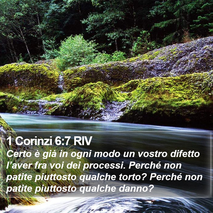 1 Corinzi 6:7 RIV Bible Study
