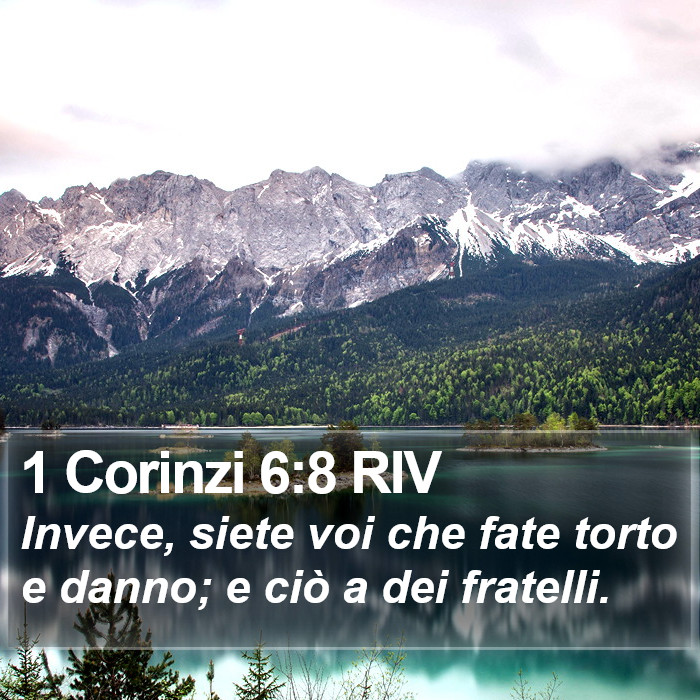 1 Corinzi 6:8 RIV Bible Study