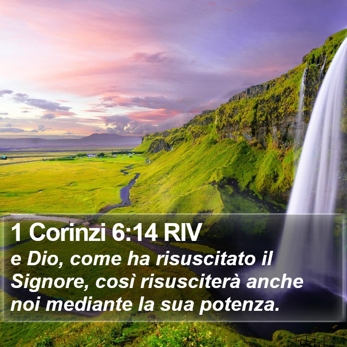 1 Corinzi 6:14 RIV Bible Study