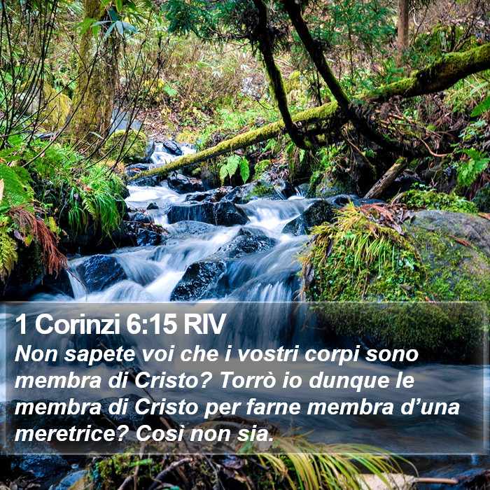 1 Corinzi 6:15 RIV Bible Study