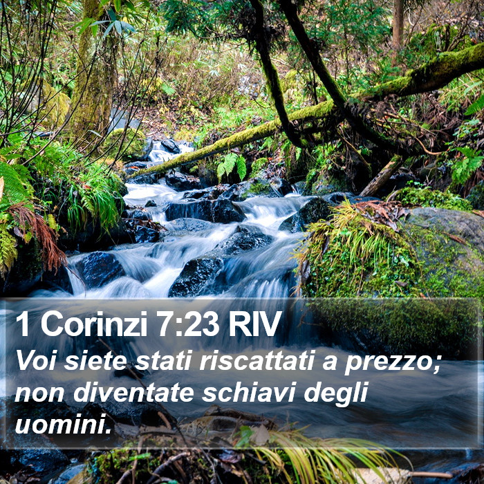 1 Corinzi 7:23 RIV Bible Study