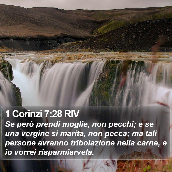 1 Corinzi 7:28 RIV Bible Study