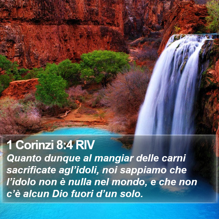 1 Corinzi 8:4 RIV Bible Study