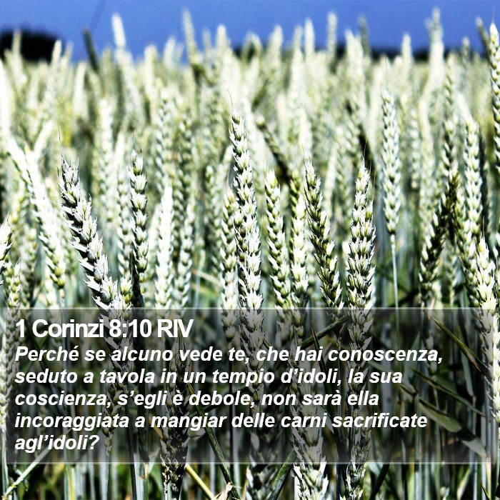 1 Corinzi 8:10 RIV Bible Study