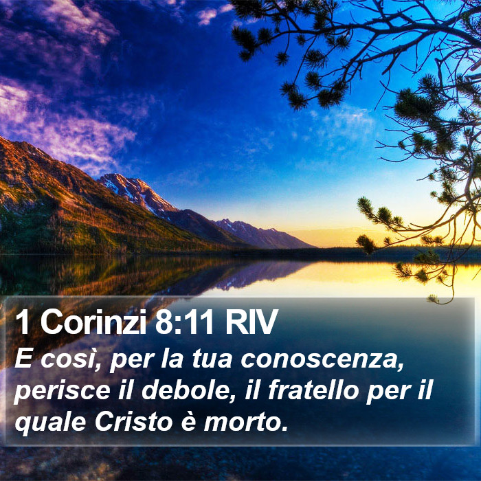 1 Corinzi 8:11 RIV Bible Study