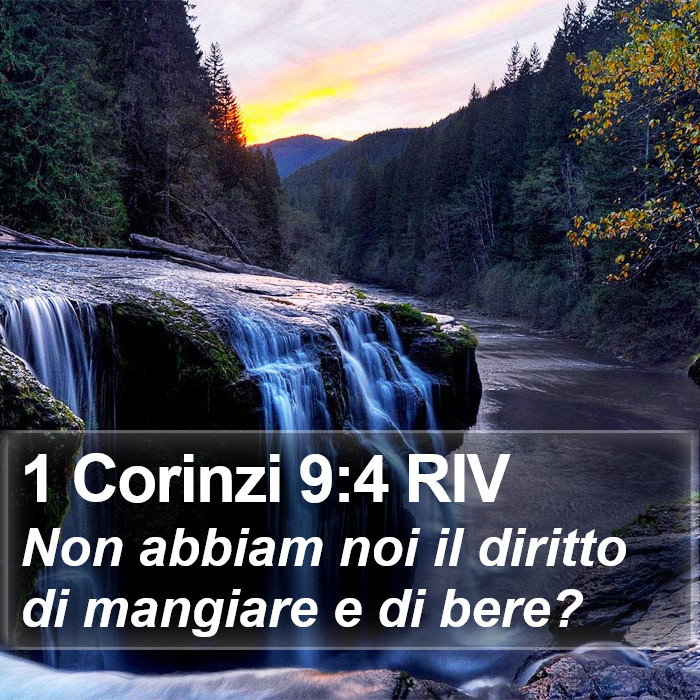 1 Corinzi 9:4 RIV Bible Study