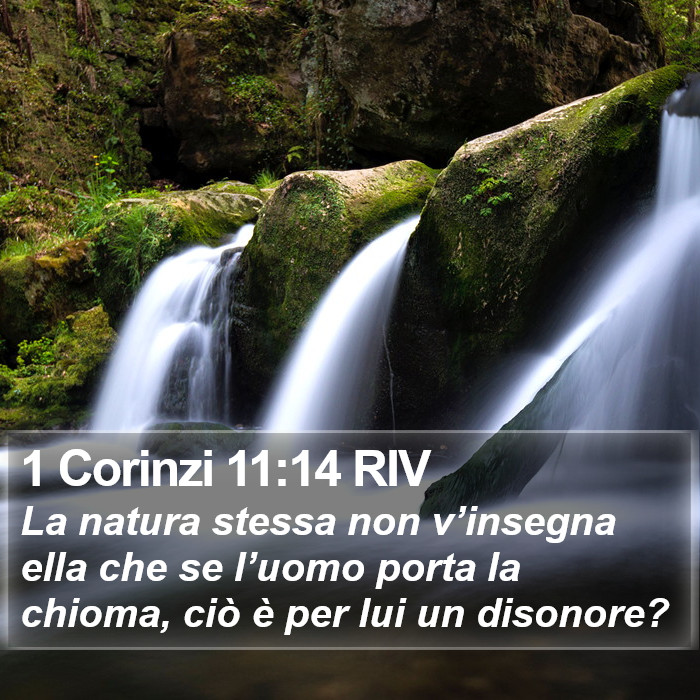 1 Corinzi 11:14 RIV Bible Study