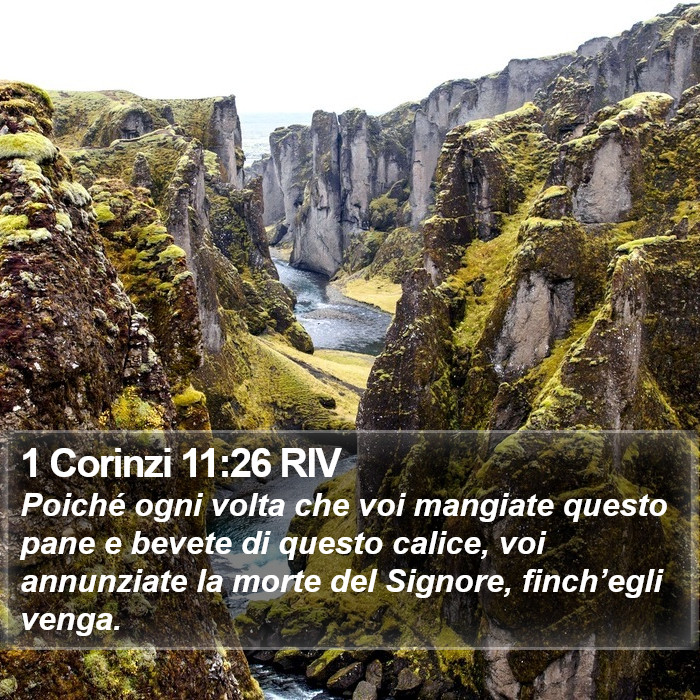 1 Corinzi 11:26 RIV Bible Study