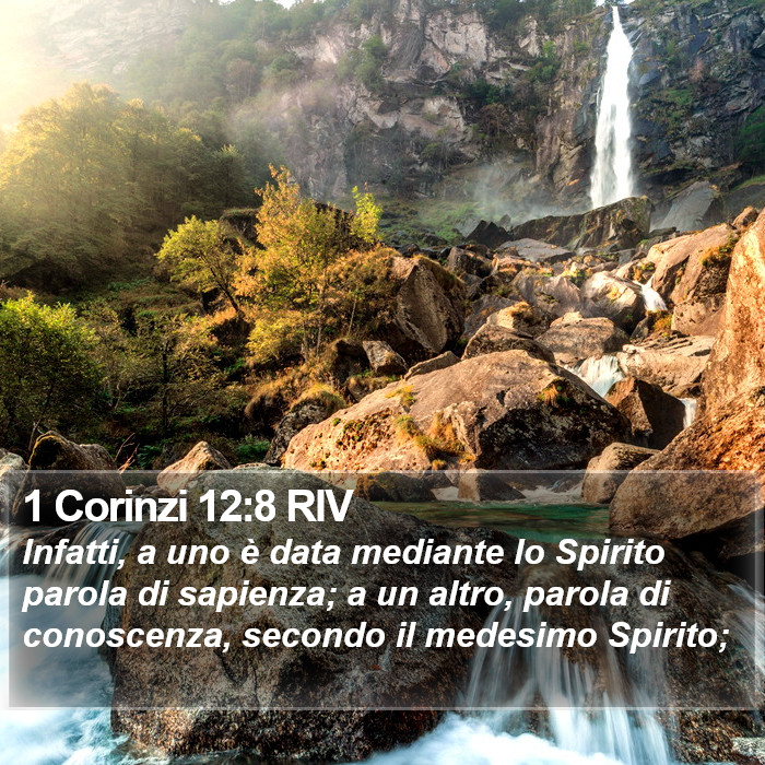 1 Corinzi 12:8 RIV Bible Study