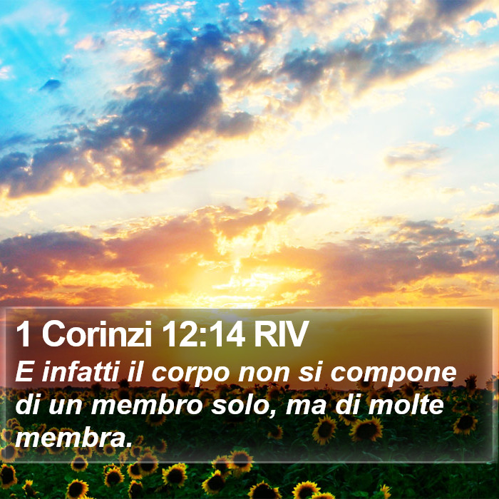 1 Corinzi 12:14 RIV Bible Study