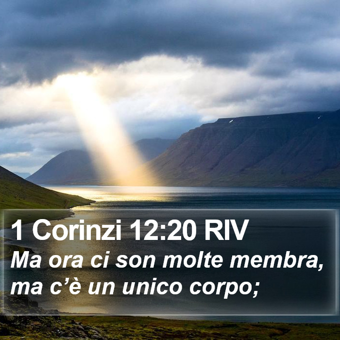 1 Corinzi 12:20 RIV Bible Study