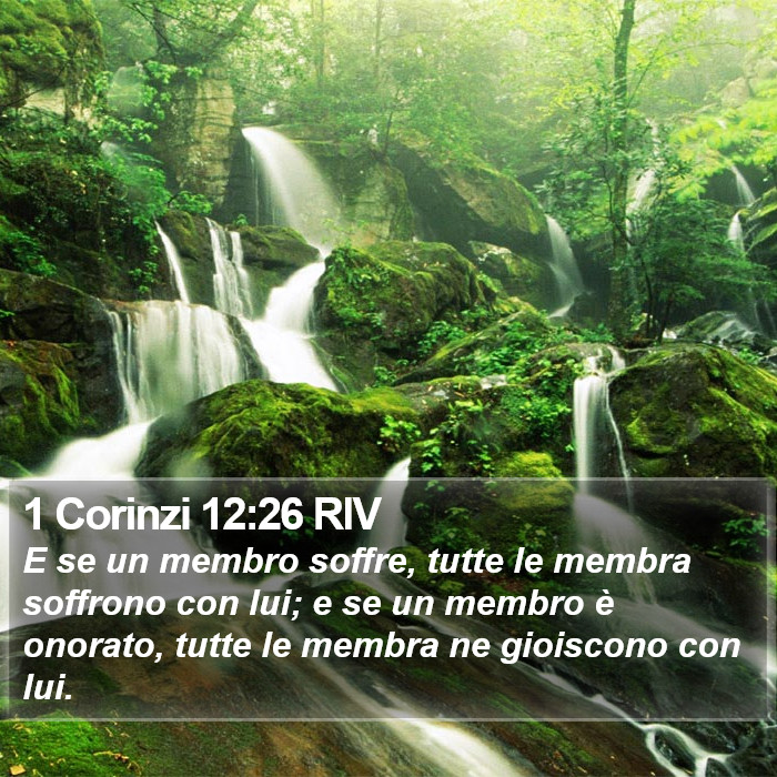 1 Corinzi 12:26 RIV Bible Study