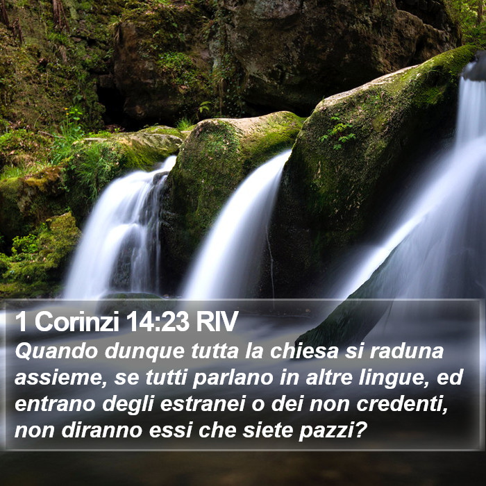 1 Corinzi 14:23 RIV Bible Study
