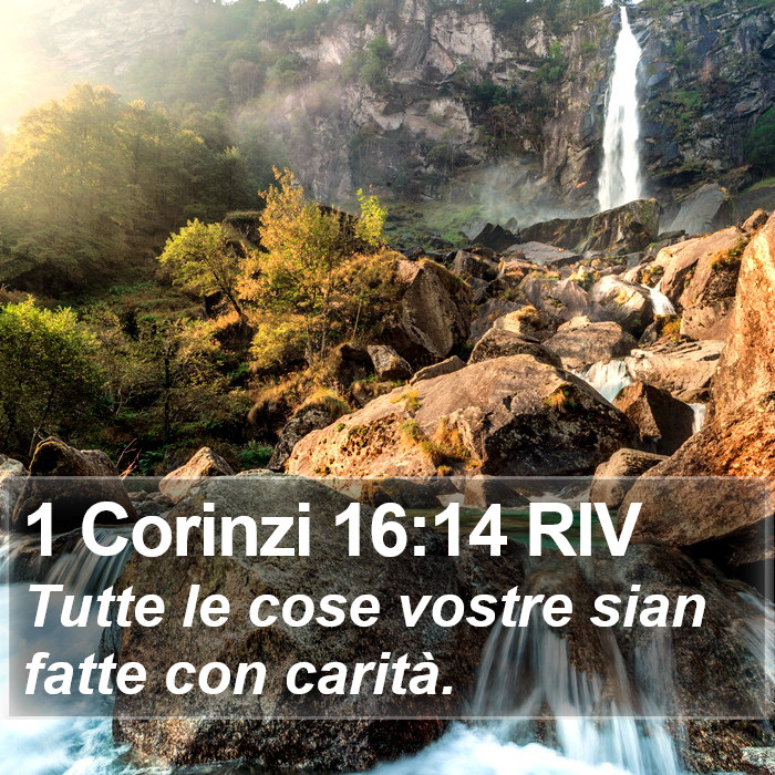 1 Corinzi 16:14 RIV Bible Study
