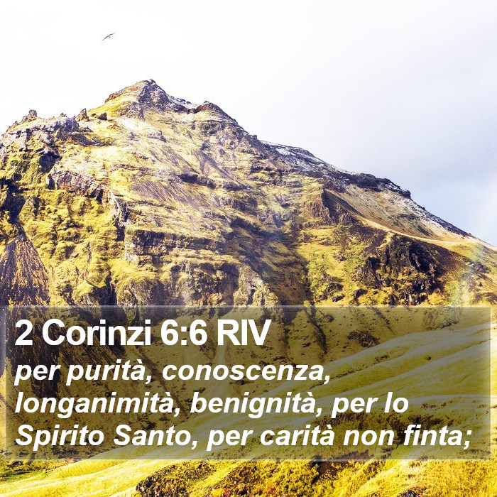 2 Corinzi 6:6 RIV Bible Study