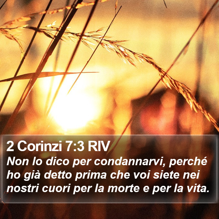 2 Corinzi 7:3 RIV Bible Study