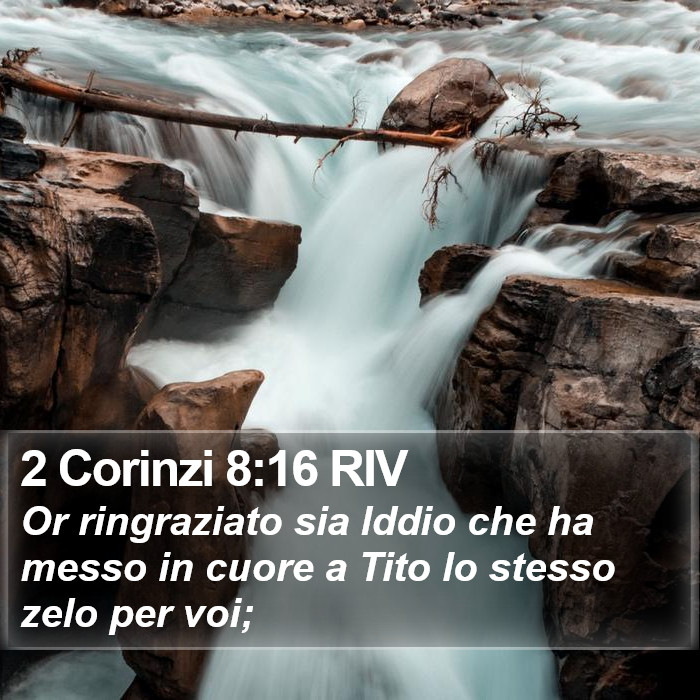 2 Corinzi 8:16 RIV Bible Study