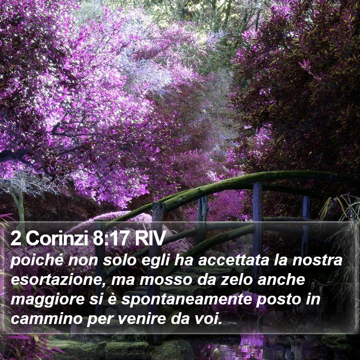 2 Corinzi 8:17 RIV Bible Study