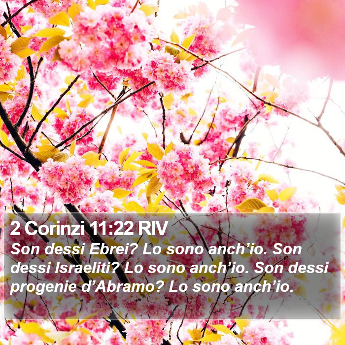 2 Corinzi 11:22 RIV Bible Study