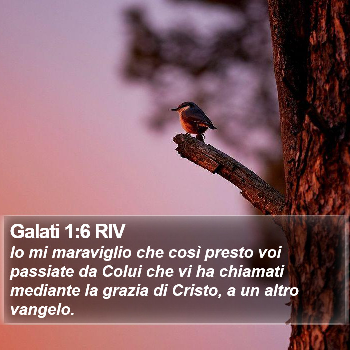 Galati 1:6 RIV Bible Study