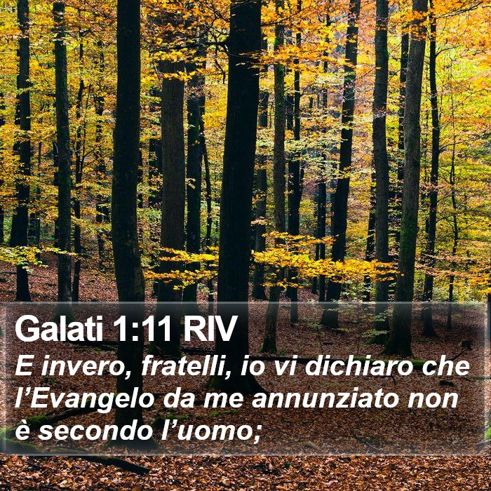 Galati 1:11 RIV Bible Study