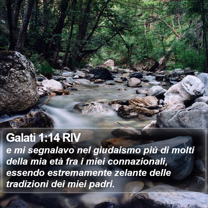 Galati 1:14 RIV Bible Study