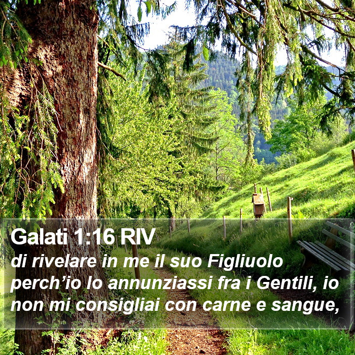 Galati 1:16 RIV Bible Study