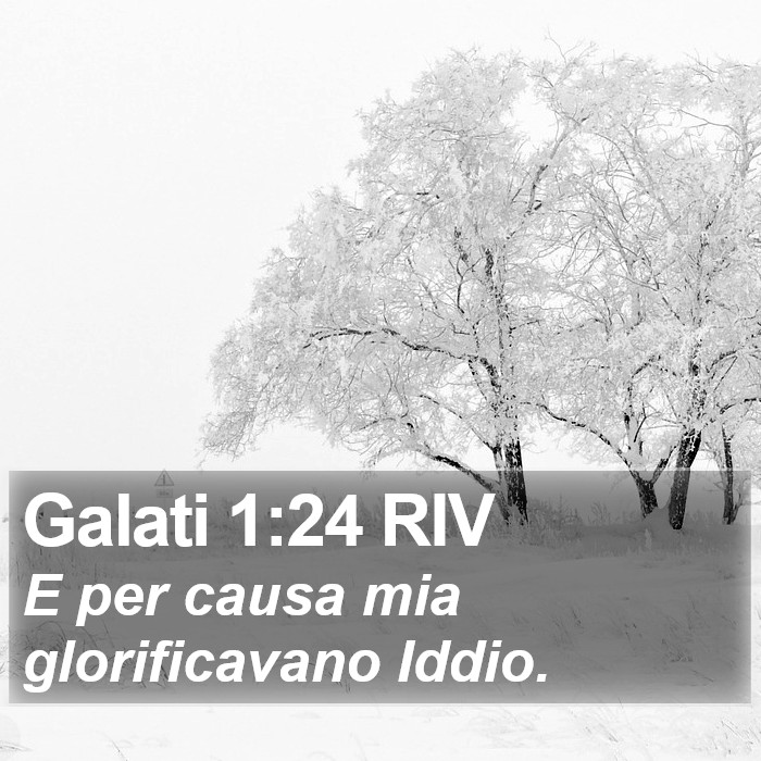 Galati 1:24 RIV Bible Study