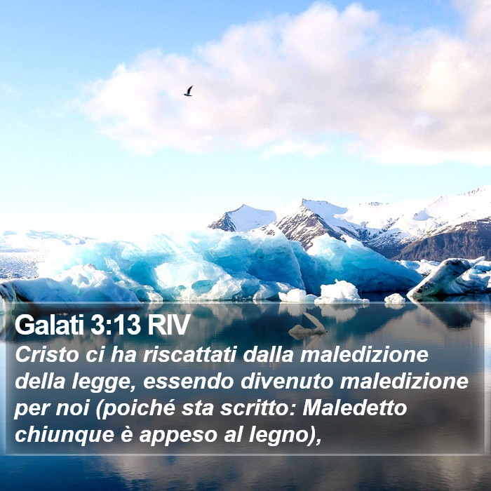 Galati 3:13 RIV Bible Study