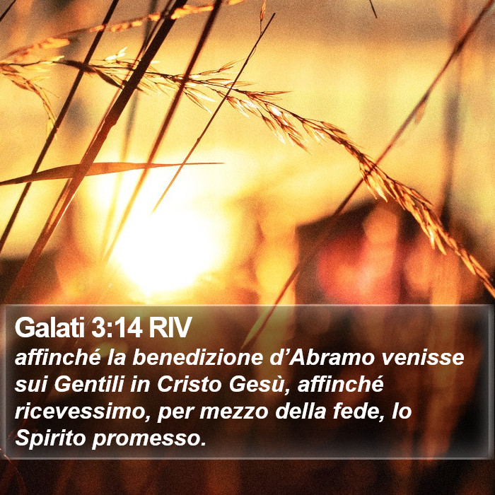Galati 3:14 RIV Bible Study