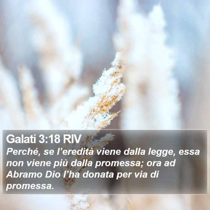 Galati 3:18 RIV Bible Study