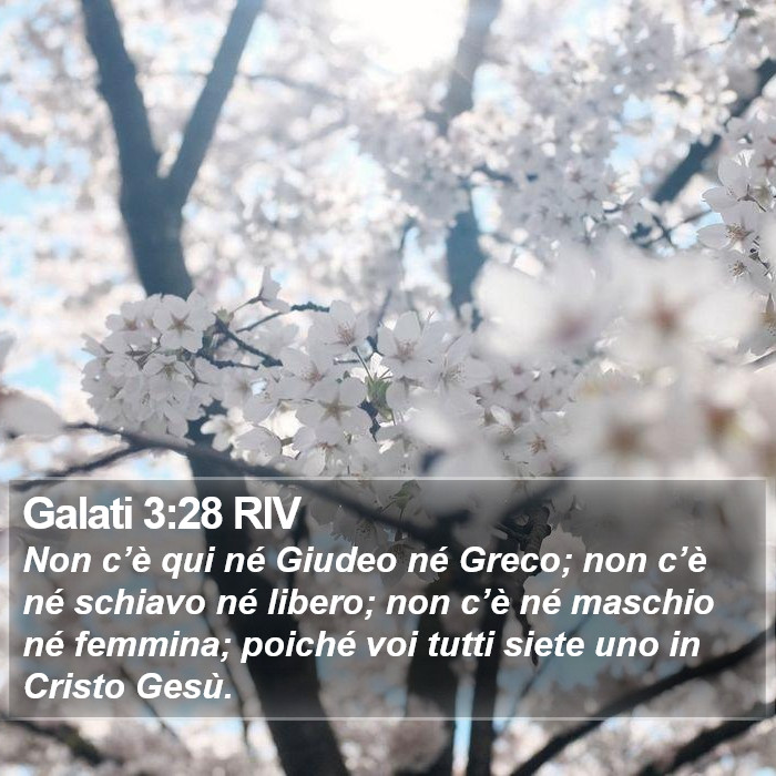 Galati 3:28 RIV Bible Study