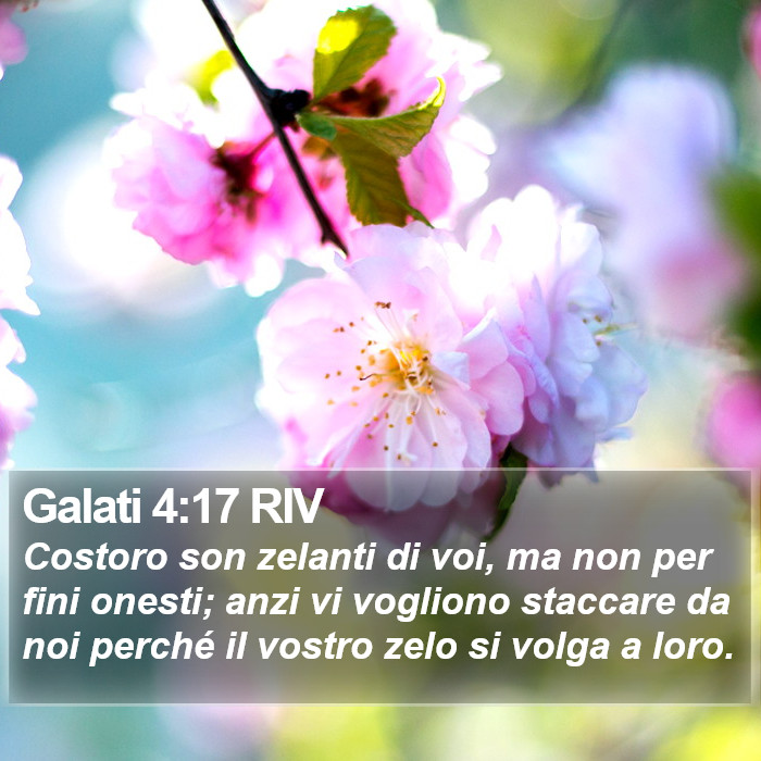 Galati 4:17 RIV Bible Study