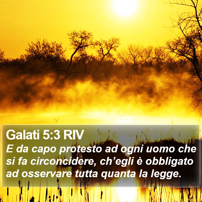 Galati 5:3 RIV Bible Study